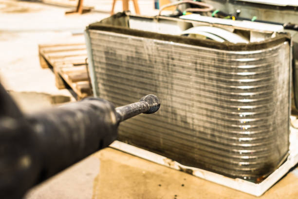 Best Air Duct Mold Removal  in Tamiami, FL