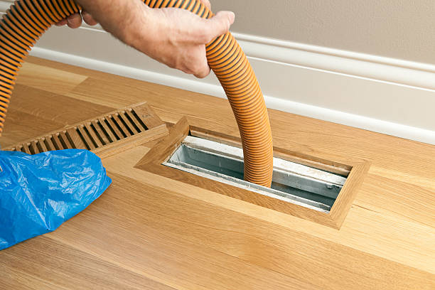 Best Home Air Vent Cleaning  in Tamiami, FL