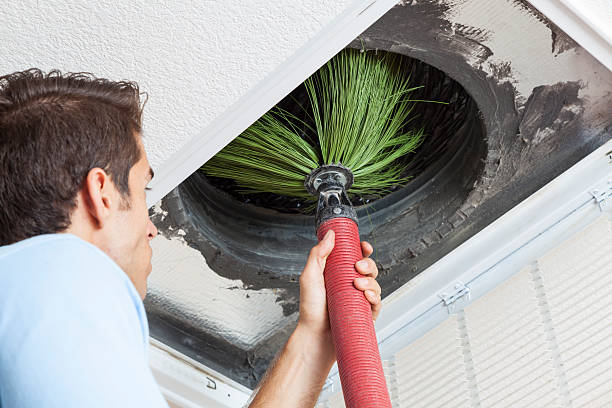 Best Affordable Air Duct Cleaning  in Tamiami, FL