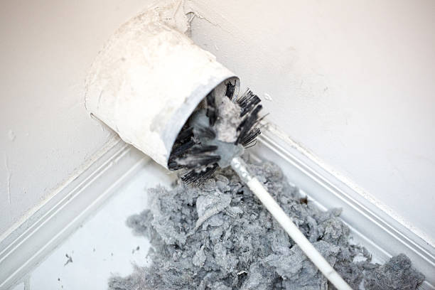 Best Residential Air Duct Cleaning  in Tamiami, FL